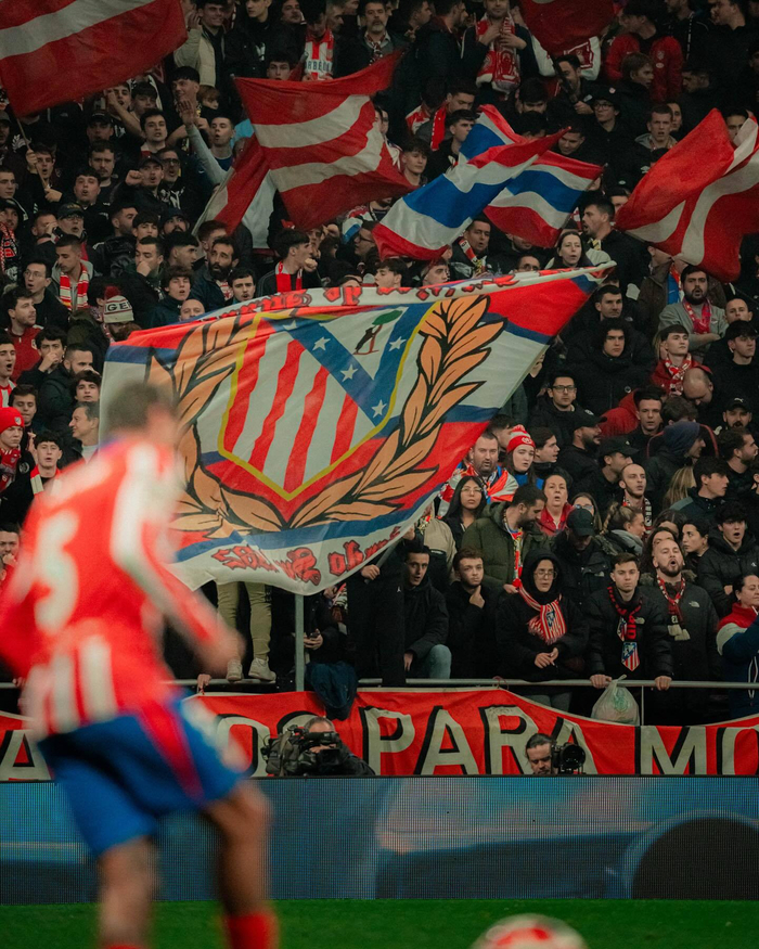 金牛的整体表现令人满意 竞争力丝毫不输CBA球队（金牛整体发挥出色，竞争力不逊于CBA球队）